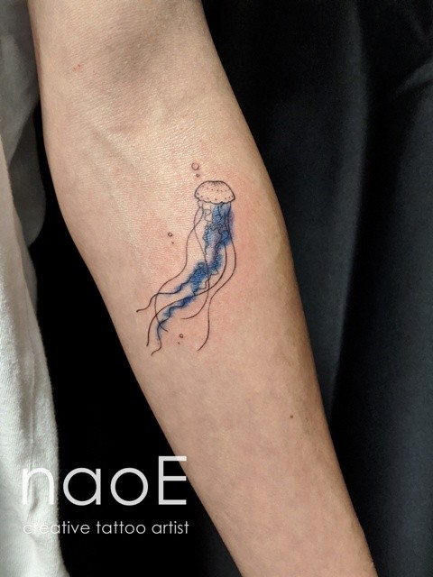 海月(くらげ)　Jellyfish　Medusa　Méduseサムネイル